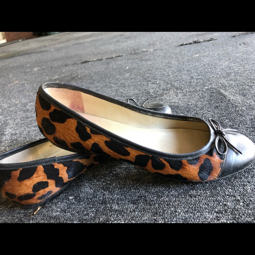 Shoes Talbots Leopard flats